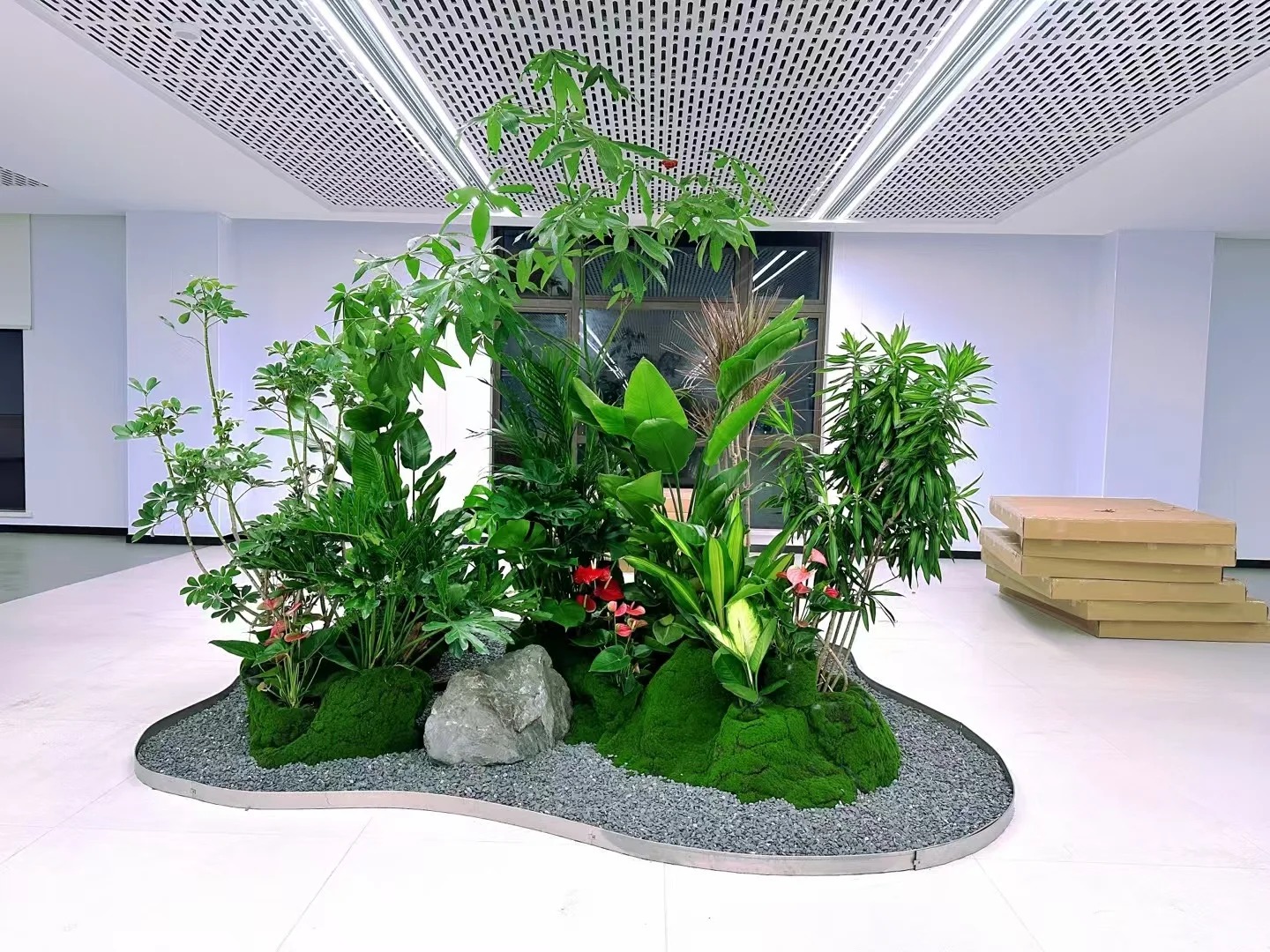 体验宁波杭州湾花卉租摆设计,邂逅绿植新时尚