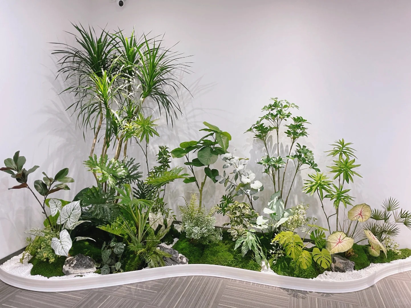 体验宁波杭州湾花卉租摆设计,邂逅绿植新时尚